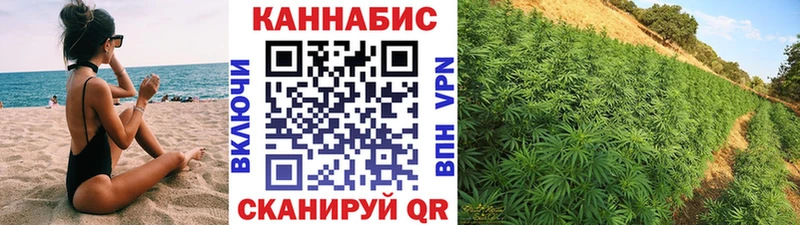 Купить  Сергач  Каннабис план 